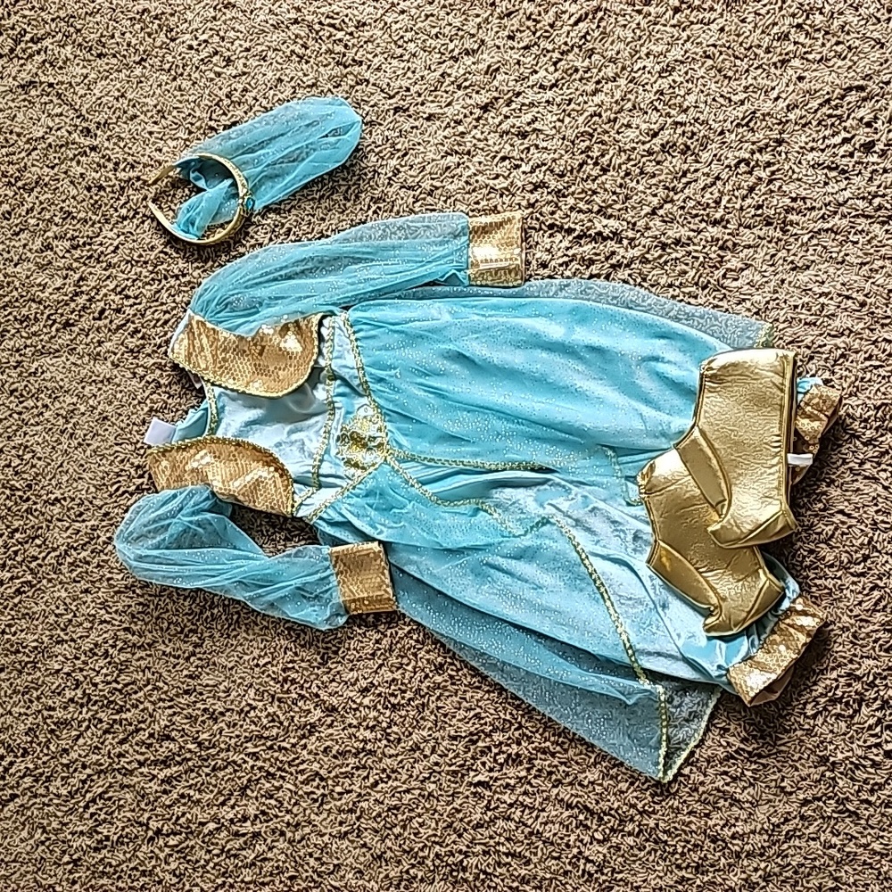 Disney costume Jasmine costume.